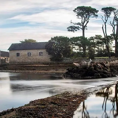 Cote Golfe - Golfe Du Morbihan