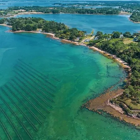 Cote Golfe - Golfe Du Morbihan *